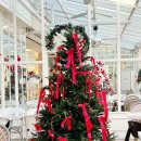 서대구우체국 앞 | 대구 평리동 카페 피아자 크리스마스 트리 카페