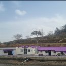 퍼플섬민박 이미지