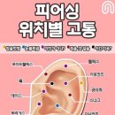 피어싱갤러리 이미지