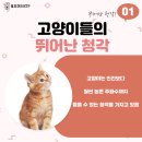 봉곡동물병원 이미지