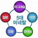 피엠사랑 네이버블로그