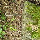 금당목장 이미지