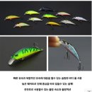 오가피싱
