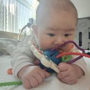 우주선 | 내돈내산 5개월아기 케스비 우주선 실리콘장난감 후기