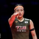 배드민턴 이미지