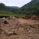 반야농장 이미지