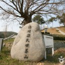양송천 묘역 이미지