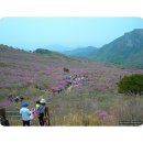 5월1일(수) 비슬산 경북/달성 (1083.6m)산행^^ 이미지