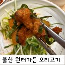 새오리 | 울산 오리고기 전문점 원터가든 반마리+오리뼈탕 세트 후기