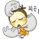 아슈아슈아이스크림할인점 - 남동구 방축로 494 | 아슈아슈아이스크림할인점