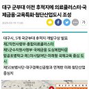 대구 군부대 이전 후적지에 의료클러스터국제금융.교육특화.첨단산업도시 조성 이미지