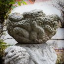 녹산사슴 이미지