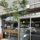 향주 | 경주 황리단길 감성 카페 가배향주, 라떼 맛집 내돈내산 후기