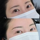 강남구청역 자연눈썹 잘하는 곳 피씨엘코리아 잔흔커버 담채눈썹후기