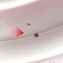 전하로R 이미지