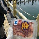 낚고락고 이미지