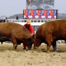 평사리상회 이미지