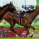 마일목장 이미지