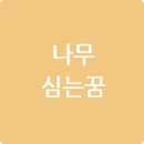 꿈과나무 이미지