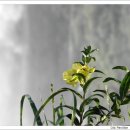 목구멍 - 미추홀구 토금중로 16 | 목구멍