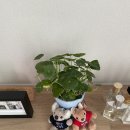 연휴 돌려내 연차 돌려내