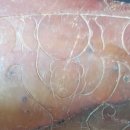 영등포평생학습관 이미지