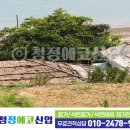 청정에코