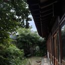 올드브릭스 | 전주여행 전주한옥숙소 추천 전주 에어비앤비 전주감성숙소 전주독채숙소 - 올드브릭스