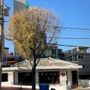 카페기록 836. 서울 상수역카페 푸글렌커피 드디어 한국상륙! 푸글렌서울 fuglencoffee