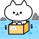 HK네트웍스 이미지