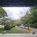 율원1천 이미지