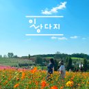 농협경제지주 안성팜랜드 승마센터 이미지