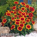 응성농장 이미지