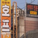 다모아호프 Daum카페
