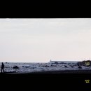 지에스25 법환포구 이미지