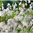 [2025. 10. 25. 토.]-[구름. 15℃~22℃, 06:38~17:37]-[운동 휴식] 이미지