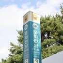 도그카페 이미지