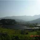 삼기주유소 이미지