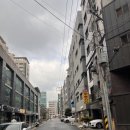 방배동 사람들 이미지
