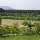 천상 농장 이미지