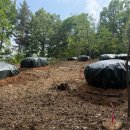 보성이네 이미지