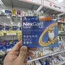 녹십자약국 이미지