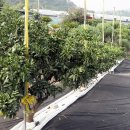 이형재농장 이미지