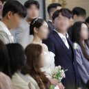 플레드플라워