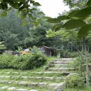국립화천숲속야영장 티스토리