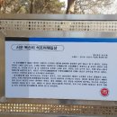 서운 북산리 석조여래입상 이미지