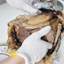 2021년 중복에 먹은 놀부 유황오리진흙구이 포장후기