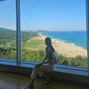 설궁 | 고성 통일전망대 출입신고시 신분증 및 주차비, 입장료 정보, 사진 스팟 공유, 기념품 설궁 및 DMZ 추천