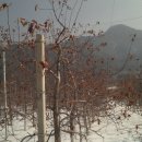 이경일농장 이미지