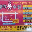 빛나수선